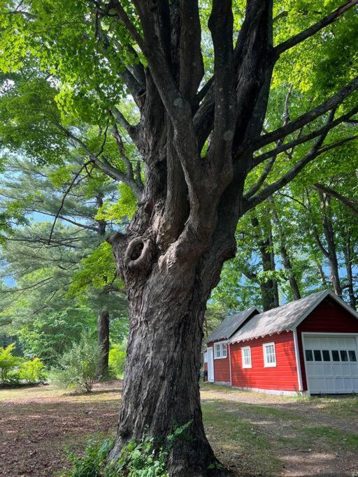Schoolhouse No. 11 * Hudson Valley Upstate Getaway Stone Ridge Eksteriør billede